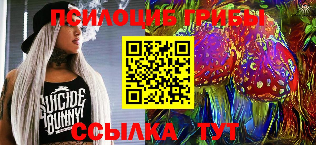 Псилоцибиновые грибы GOLDEN TEACHER  Псилоцибиновые грибы Psilocybe  Апрелевка  продажа наркотиков  Вход с VPN 